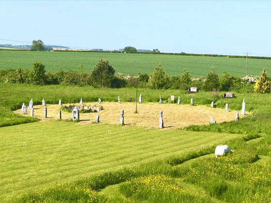 Stones in Field